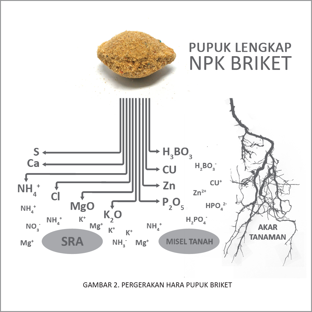 saraswanti pergerakan