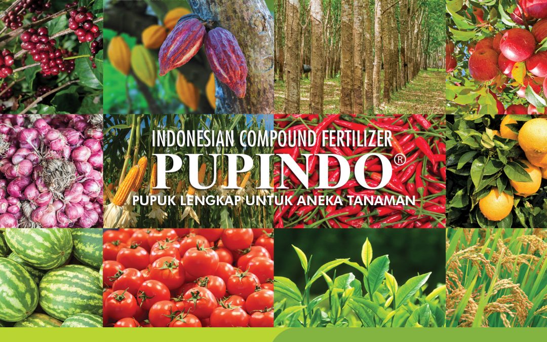 PUPINDO ANEKA TANAMAN