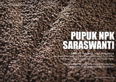 saraswanti pupuknpk briket granul npk 08