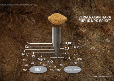 saraswanti pupuknpk npk pupuk sam 05